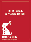 Bed bugs e your home